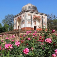 16th Century Lakkarwala Burj is picture perfect in its 21st Century rose garden.